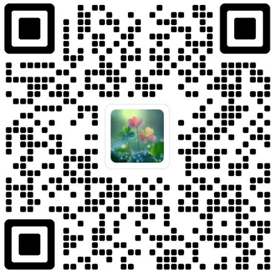 Digital Communications and Networks杂志模板